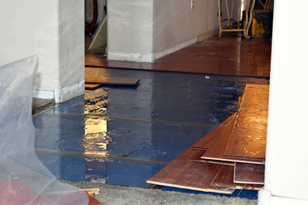 Professional Flood Damage Repair technician working in Trenton, OH